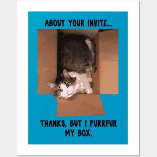 Funny Little Cat in a Box Posters and Art